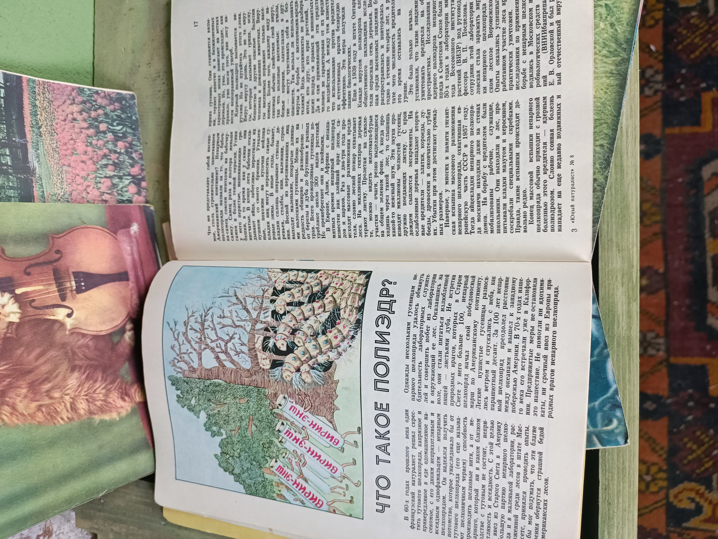 1980 Soviet Magazines: Young Naturalist