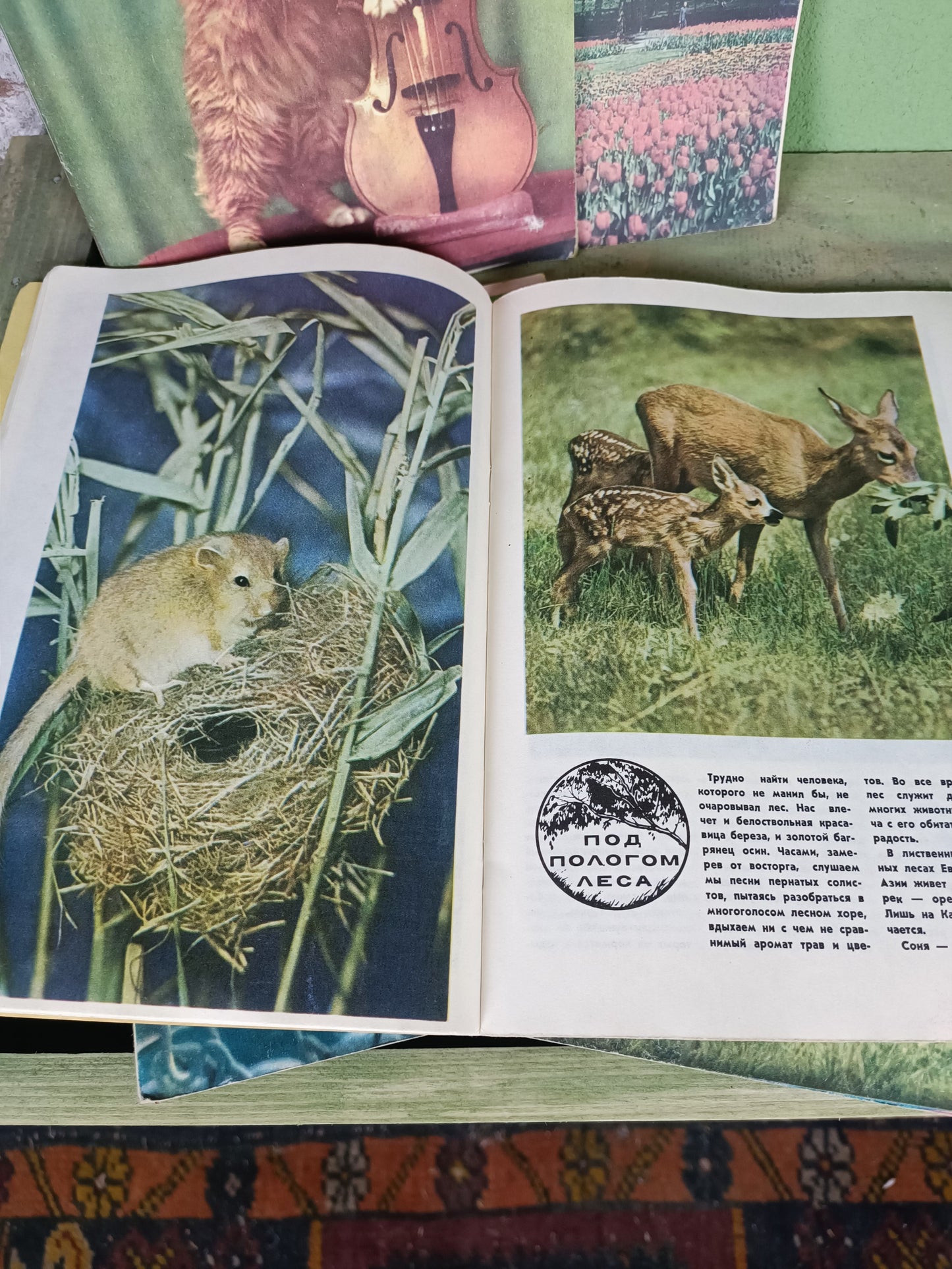 1980 Soviet Magazines: Young Naturalist